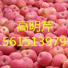 山東農副產品購銷處 油料及農副產品的專業化收購服務